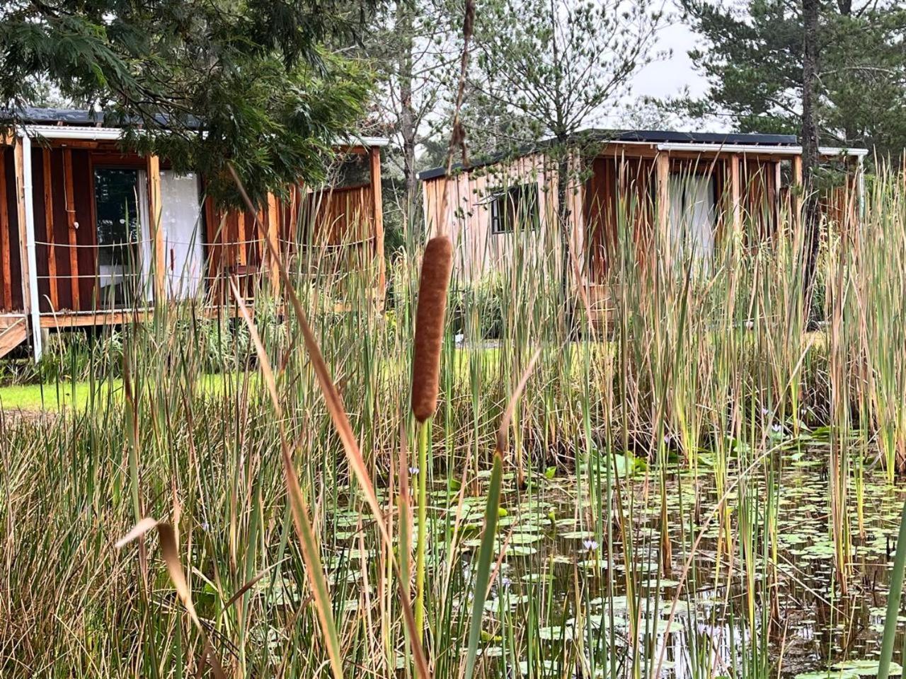 Forest Gate Resort Plettenberg Bay Eksteriør billede