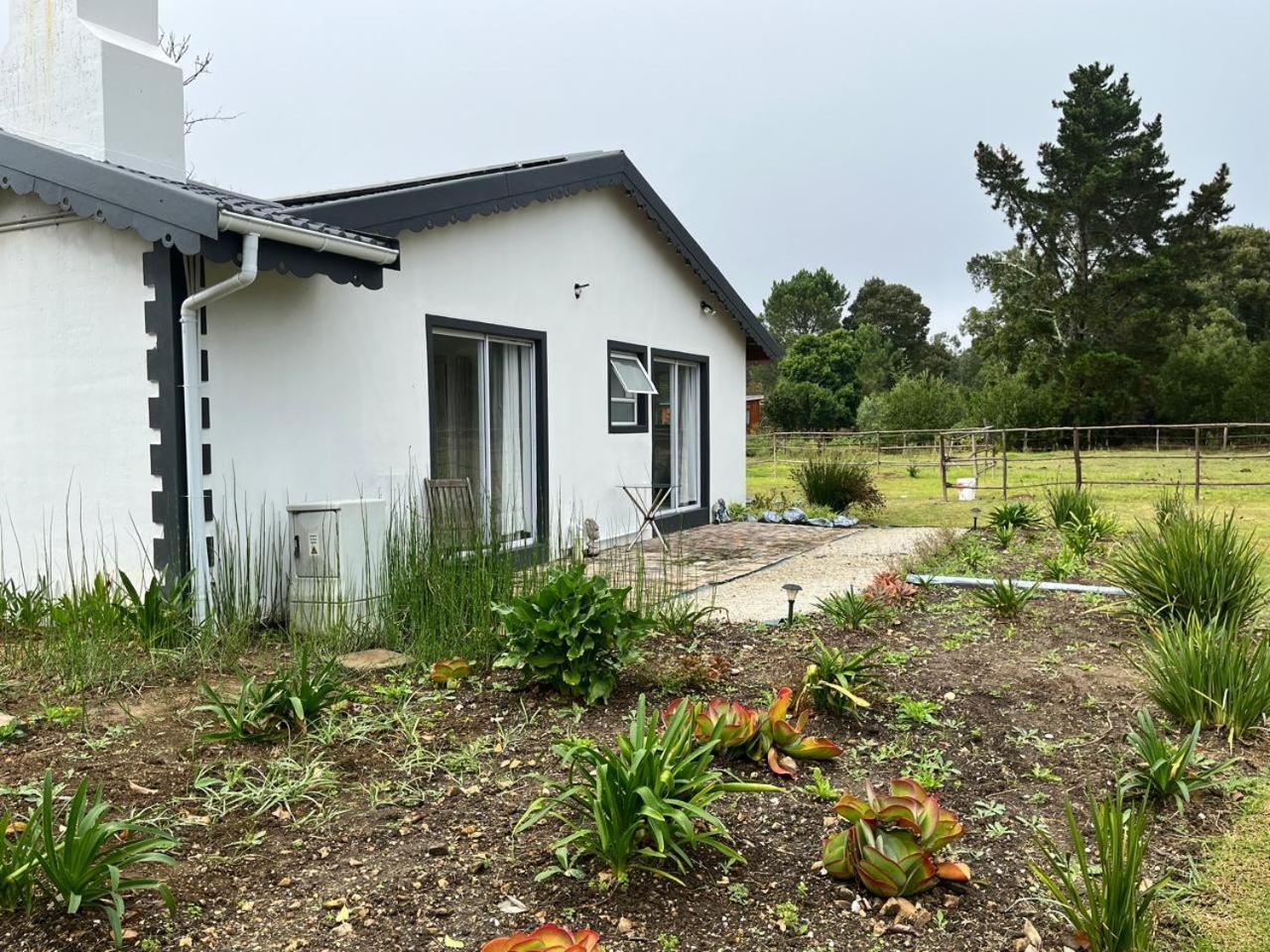Forest Gate Resort Plettenberg Bay Eksteriør billede