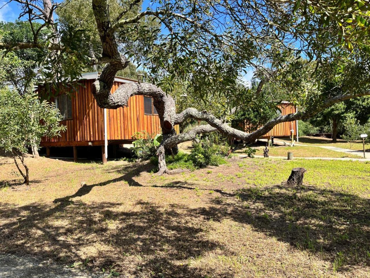 Forest Gate Resort Plettenberg Bay Eksteriør billede