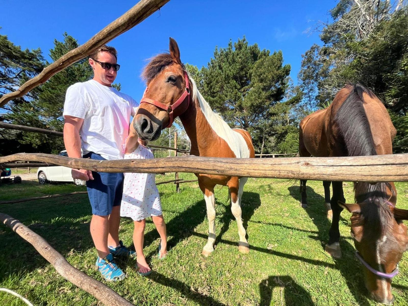 Forest Gate Resort Plettenberg Bay Eksteriør billede