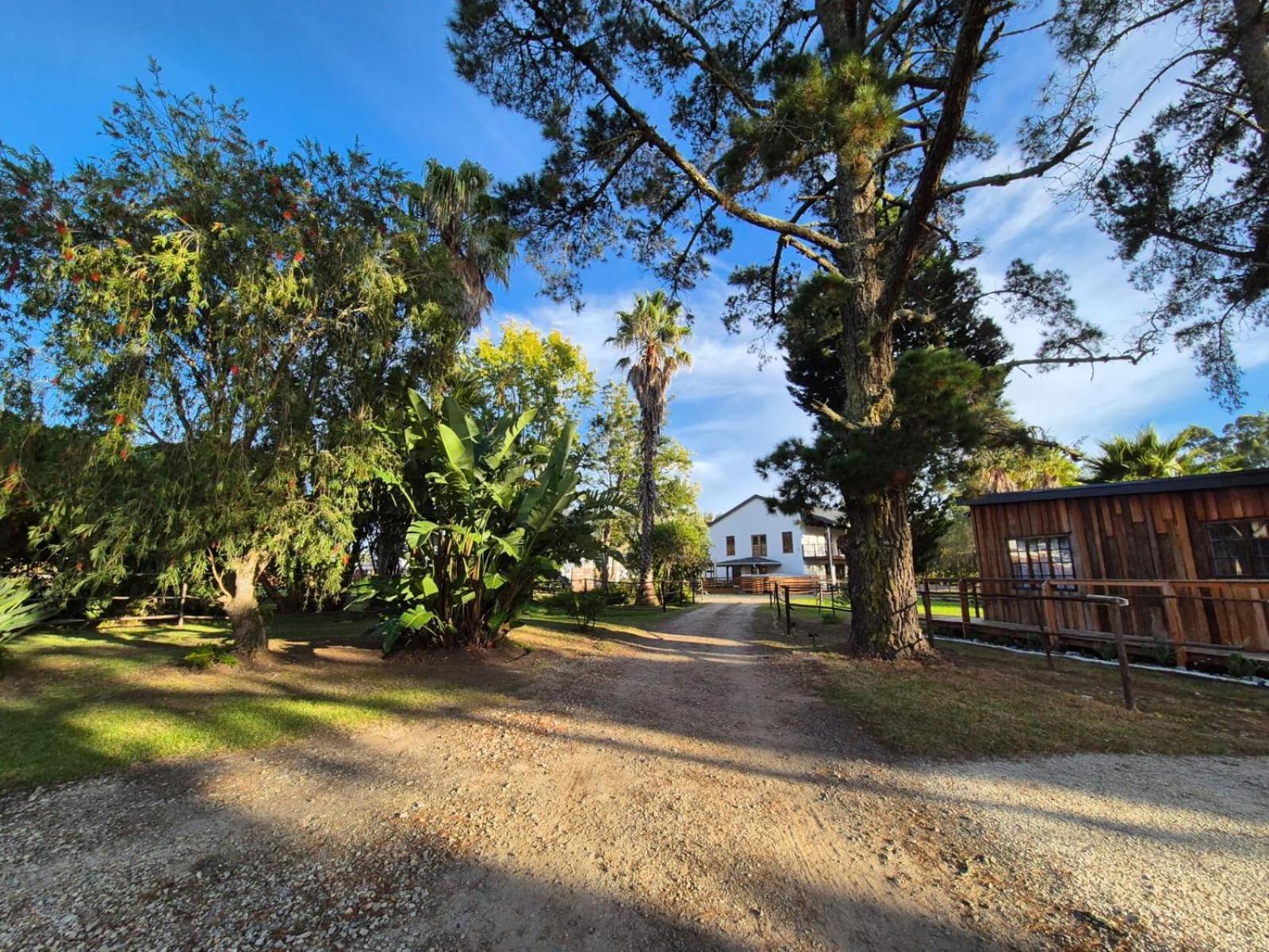 Forest Gate Resort Plettenberg Bay Eksteriør billede